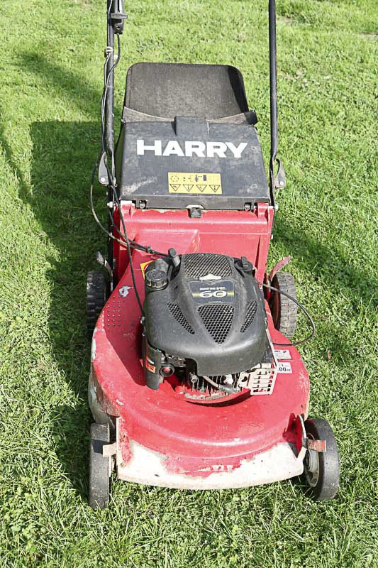 Briggs and Stratton Quantum 6 engine attached to Harry lawnmower in