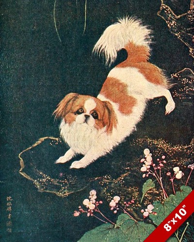 ペキニーズ書籍4冊セット 本 洋書 写真 pekingese PEKINGESE ペキニーズ書籍4冊セット 本 洋書 写真 pekingese PEKINGESE