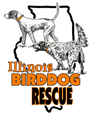 Illinois Birddog Rescue