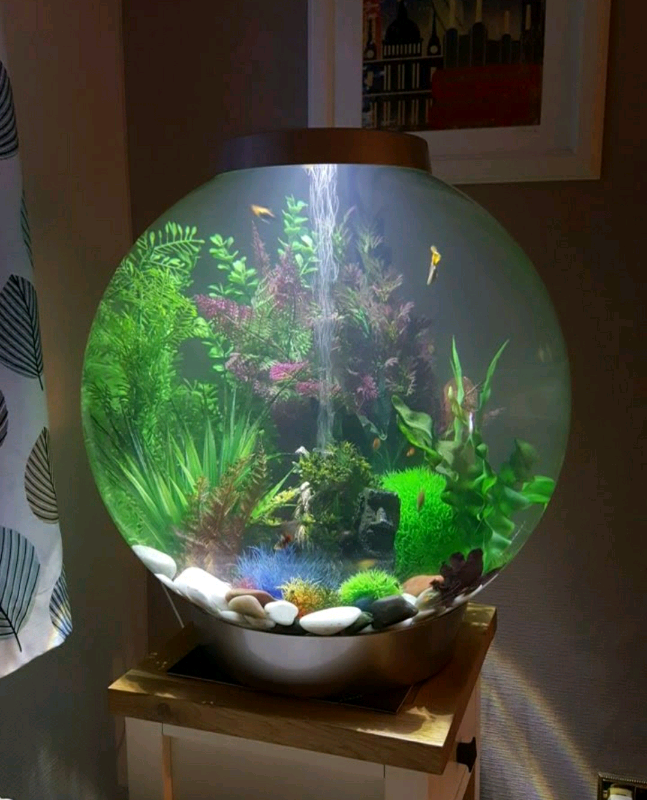 Fish tank 105L Bi Orb Aquarium in Witney, Oxfordshire Gumtree
