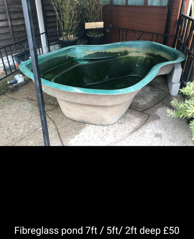 pond for sale in Bulwell, Nottinghamshire Gumtree
