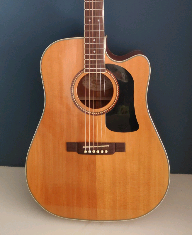 ** SOLD** WASHBURN D10S CE Electro Acoustic Guitar Solid Top! in