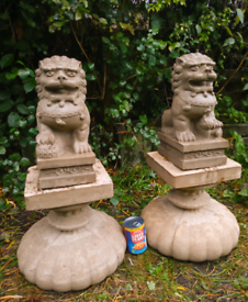 Pair of stone Fu dogs lions on plinths