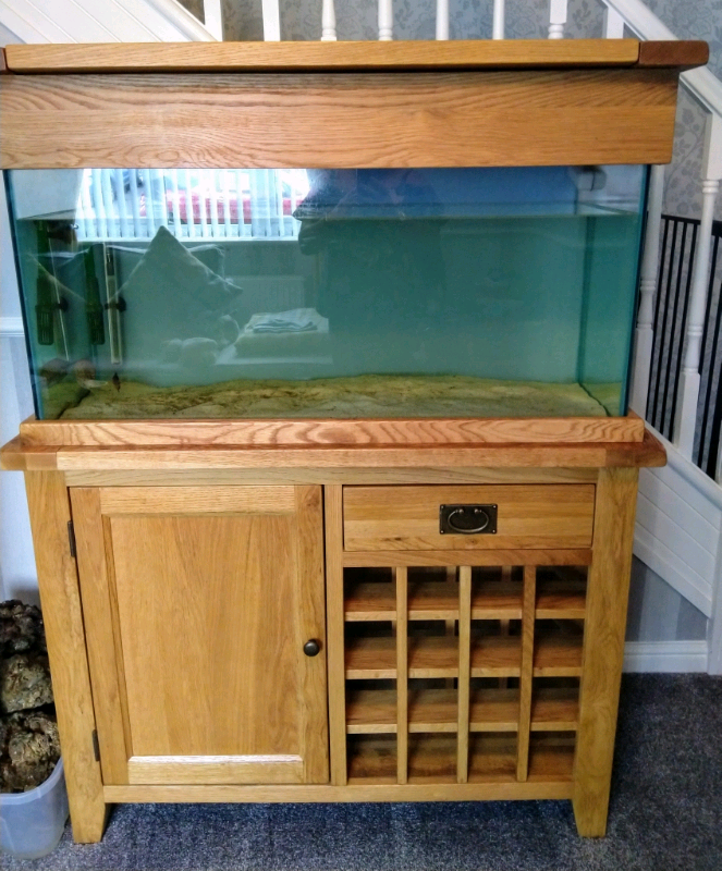 Aqua Oak aquarium. in Carmarthenshire Gumtree