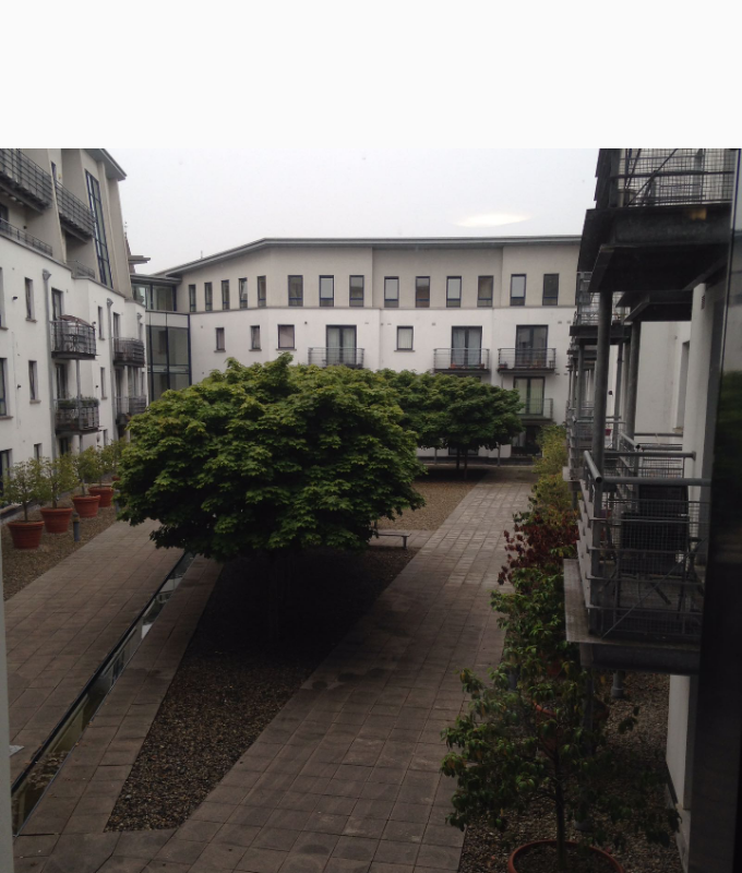 Two Bedroom Apartment Close To Queens University Belfast City Hospit In Belfast City Centre Belfast Gumtree