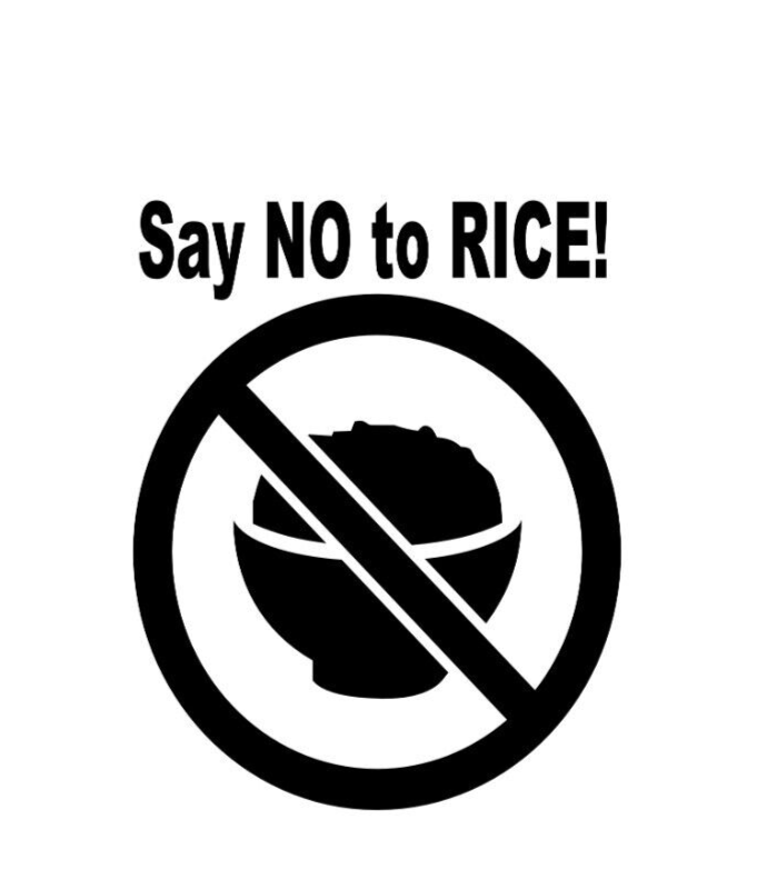4x Say no to rice Decals FUNNY, TURBO, Car Stickers 4 in x 3 in each