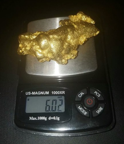 ??(3) LARGE GOLD NUGGETS ??Incredible Rarity (8.39 oz.)??(6.02 oz.)??(5.24 oz.)