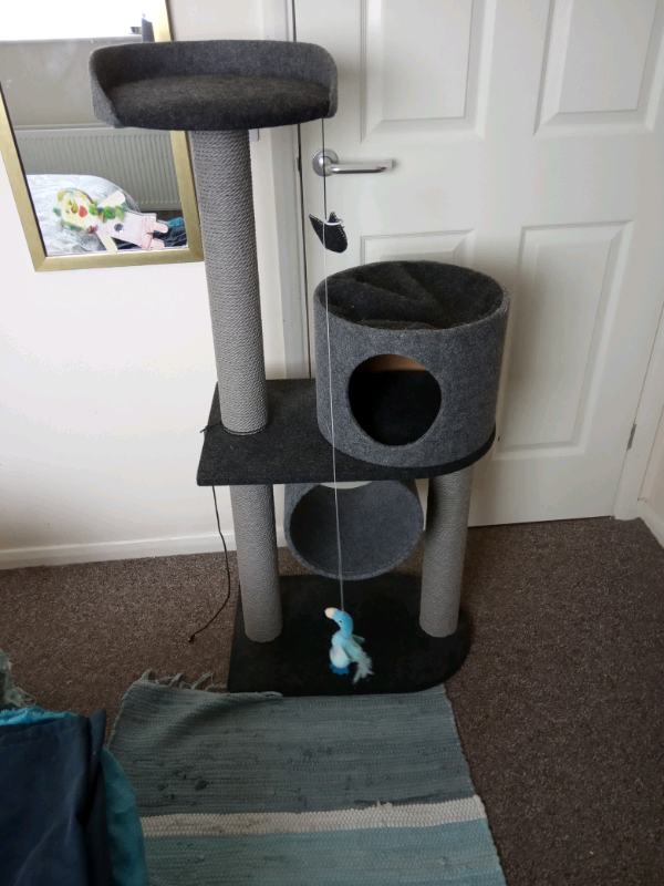 Cat tower gumtree clearance