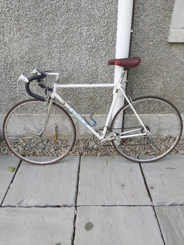 Viking vision electric bike deals