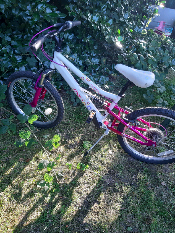 Apollo 20 inch top bike
