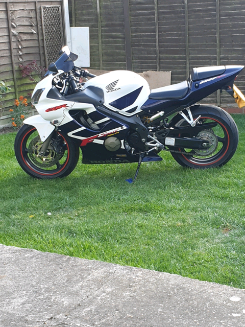 Cbr 600 gumtree outlet