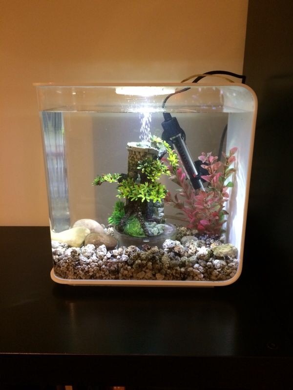 Bi Orb 15L Fish Tank in Oxford, Oxfordshire Gumtree
