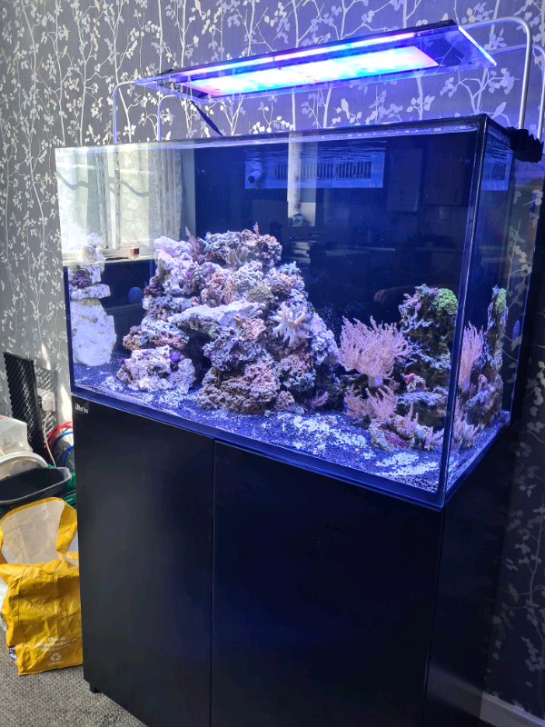 Marine fish tank red sea reefer e260 with sump in Lowestoft, Suffolk