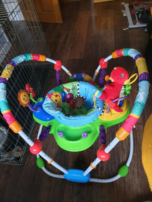 Baby Einstein bouncer in Hartlepool, County Durham Gumtree