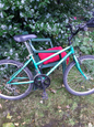 24 inch wheels Raleigh Zest mountain bike 
