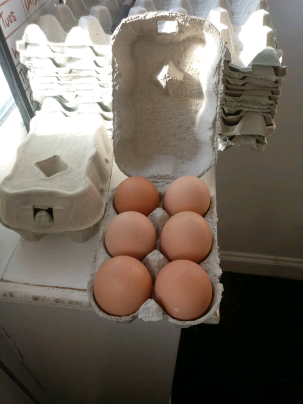 Egg boxes 90 x ½ DOZEN NEW GREY CARTONS BOXES FOR DUCK CHICKEN eggs