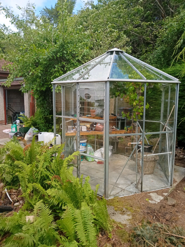 Greenhouse hexagonal in Glenrothes, Fife Gumtree