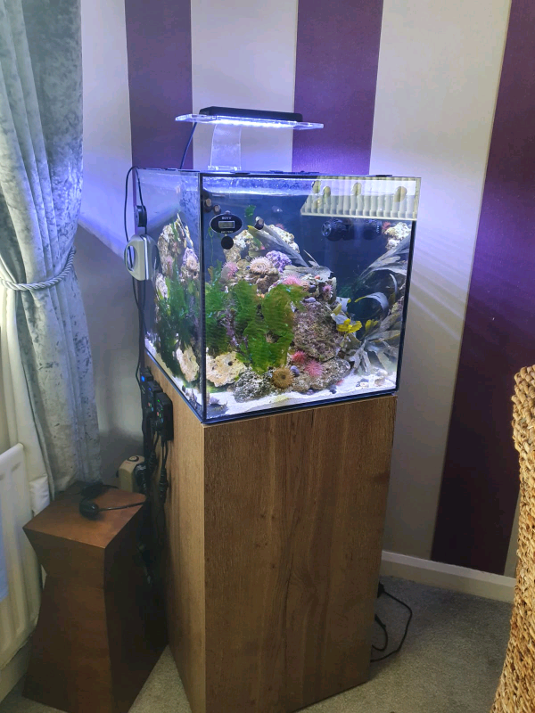Marine Fish Tanks for sale. in Wyke, West Yorkshire