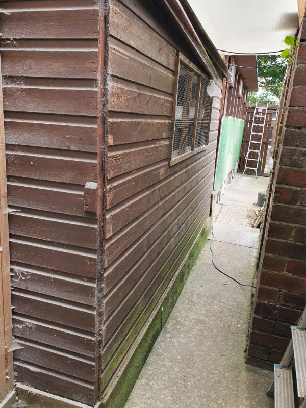 large shed been used for pigeons for sale, 10x8 pent in