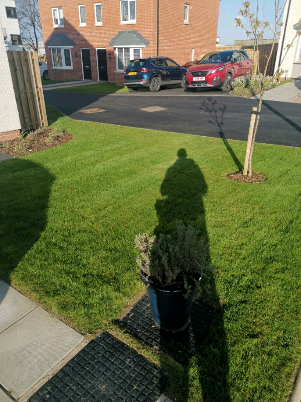 Garden services & power washing | in Paisley, Renfrewshire | Gumtree