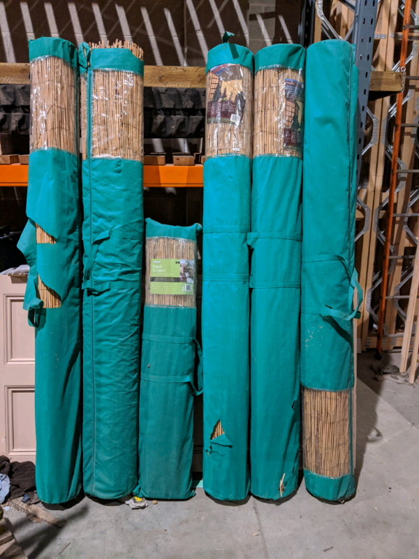 Garden Reed Screening in Poole, Dorset Gumtree