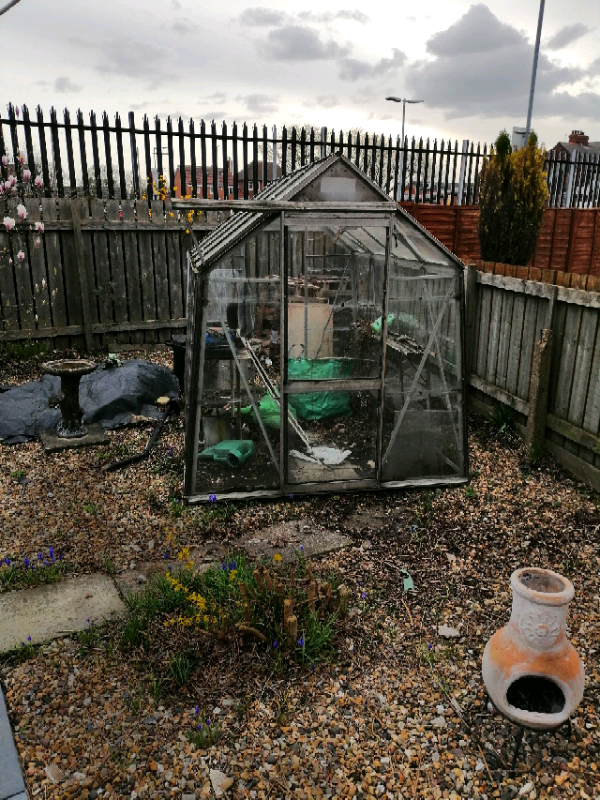 free greenhouse in hull, east yorkshire gumtree