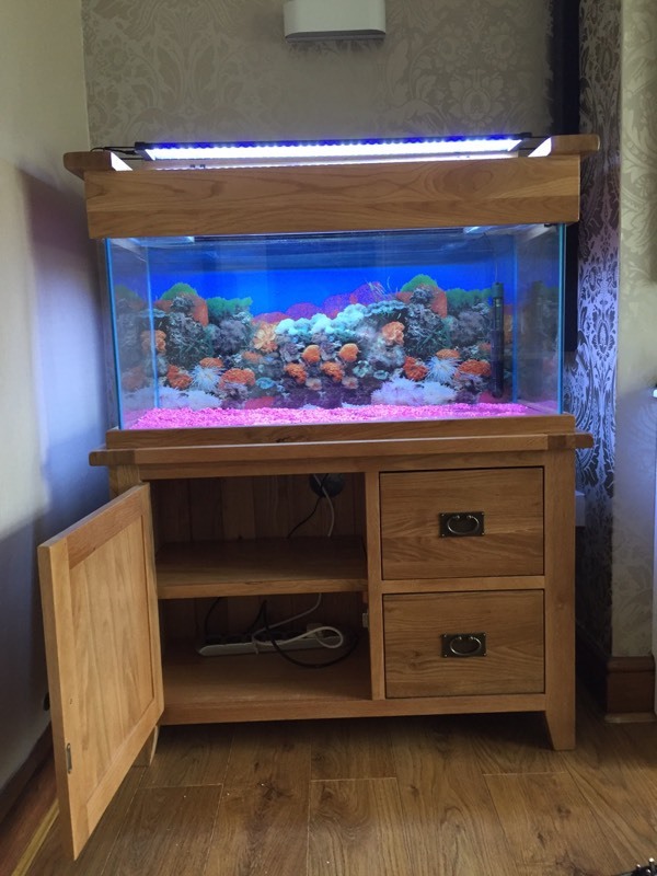 Solid oak fish tank for sale full set up still under warranty in Hull
