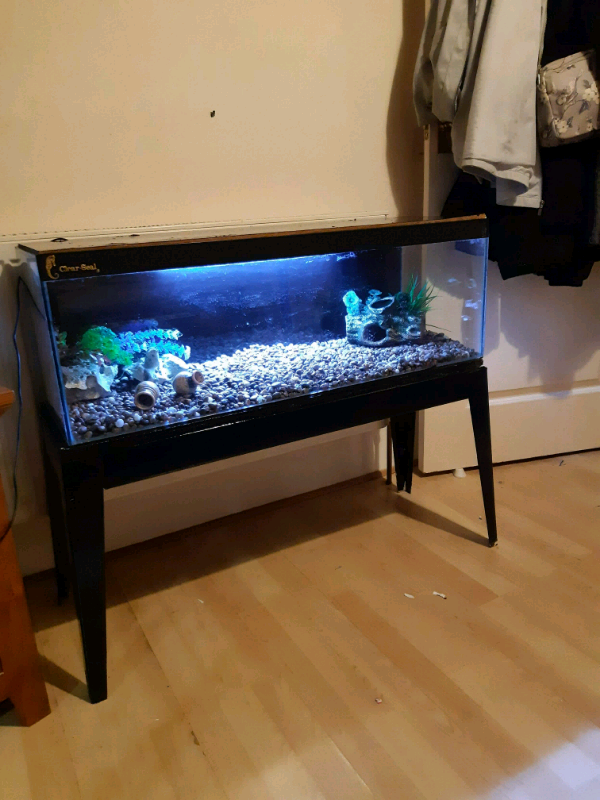 90 litre fish tank in Plymouth, Devon Gumtree