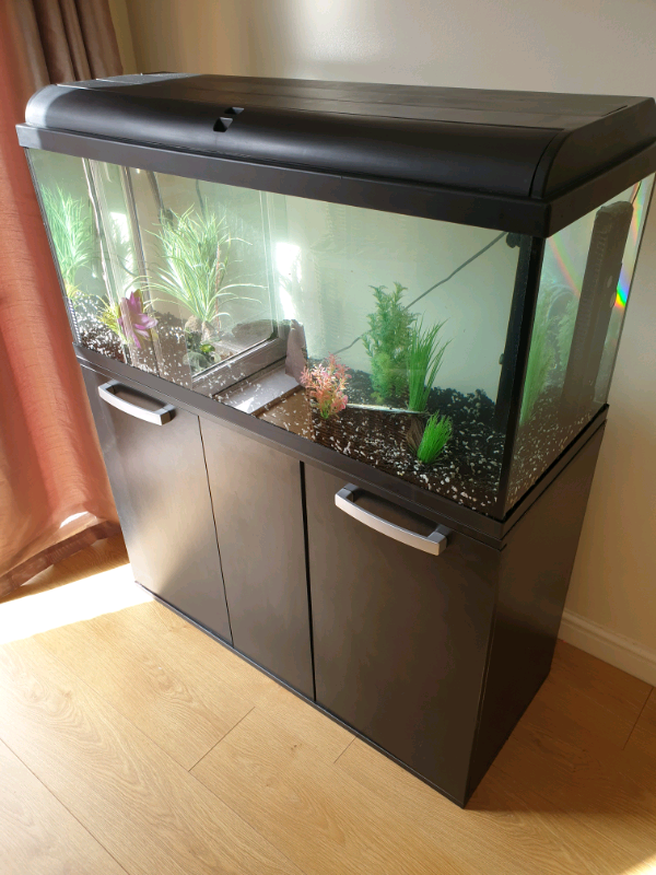 Fish Tank Full Tropical Set Up in Caerphilly Gumtree