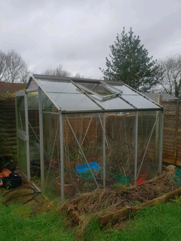 6x4 greenhouse free to collect in Barwell, Leicestershire Gumtree