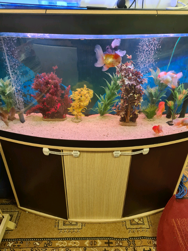2 fish tanks in Dungannon, County Tyrone Gumtree