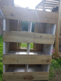 Pigeons Pet Equipment Accessories For Sale Gumtree