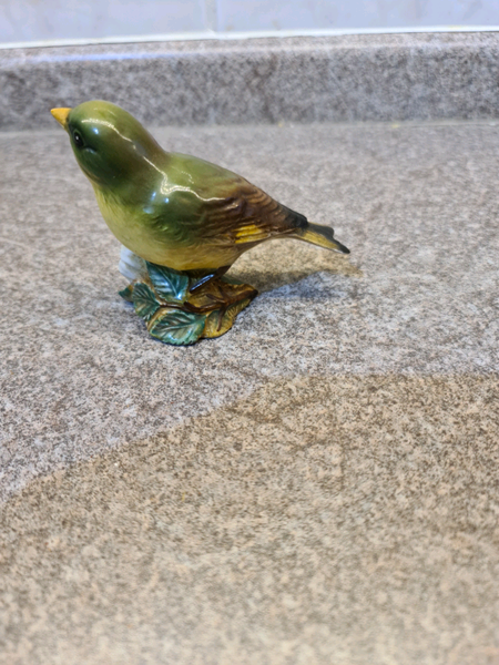 Greenfinches for sale in UK | 42 second-hand Greenfinches