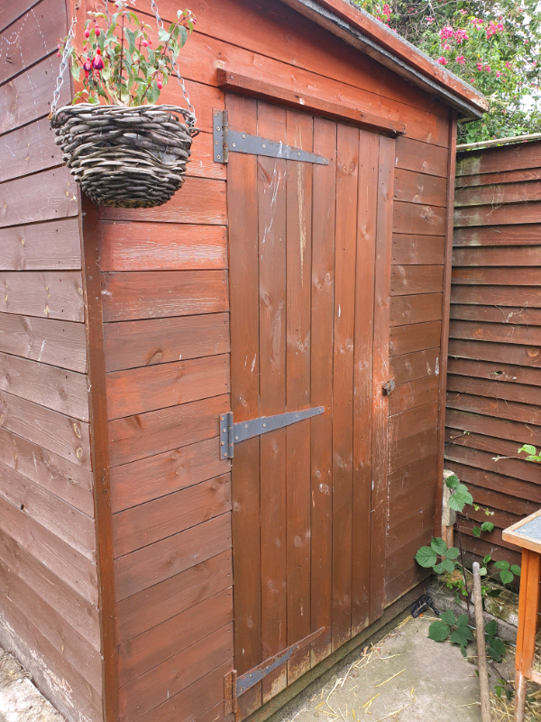 6 x 5 shed in great yarmouth, norfolk gumtree