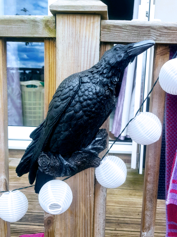 Life size Stone crow garden ornament plaque in Gloucestershire Gumtree