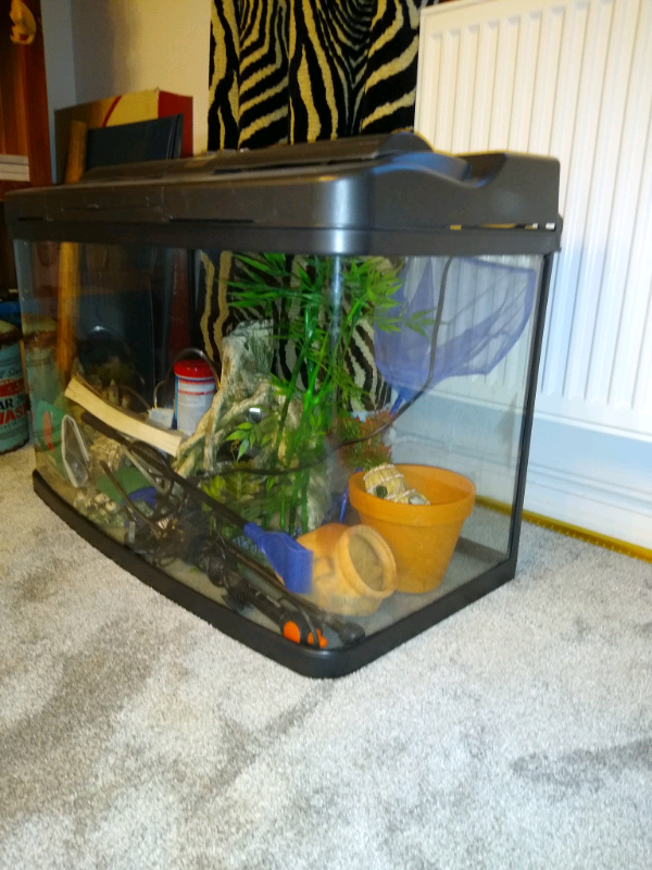 Aquarium tropical curved fish tank in Norwich, Norfolk Gumtree