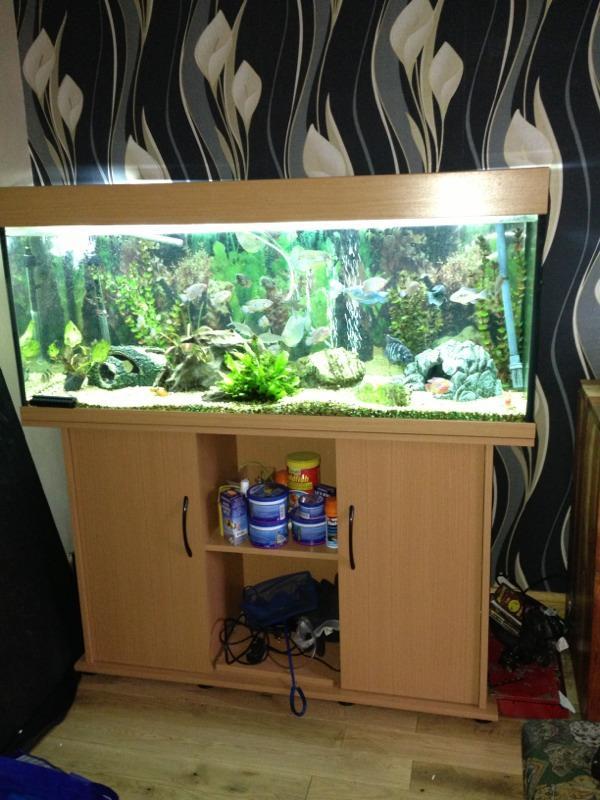 Jewel aquarium full set up in Arbroath, Angus Gumtree