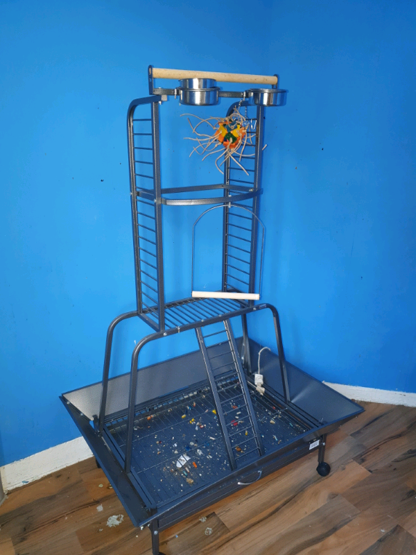 parrot-play-stand-in-weaverham-cheshire-gumtree