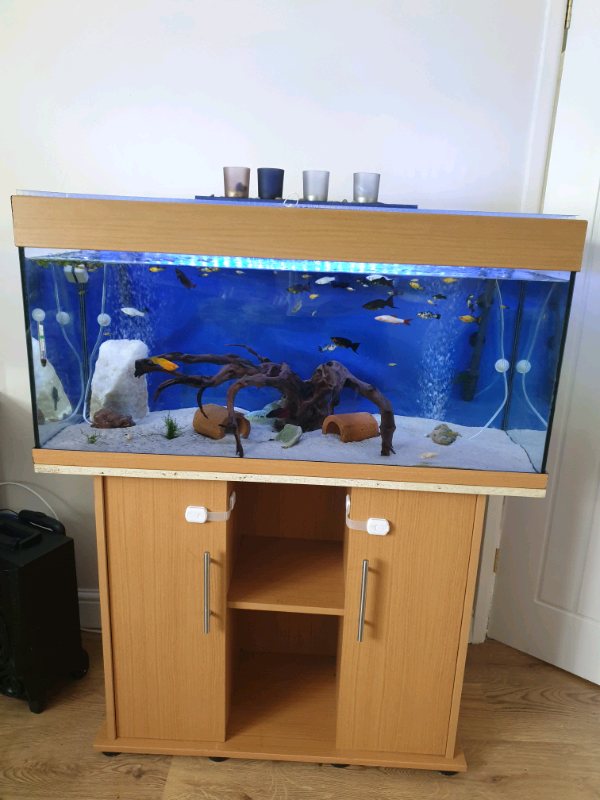 3ft Fish Tank in Yate, Bristol Gumtree