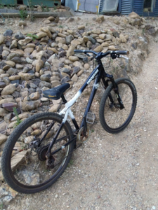 e bike orbea wild fs m10