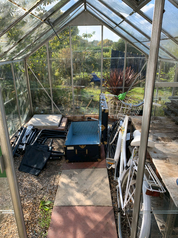 large greenhouse in poole, dorset gumtree