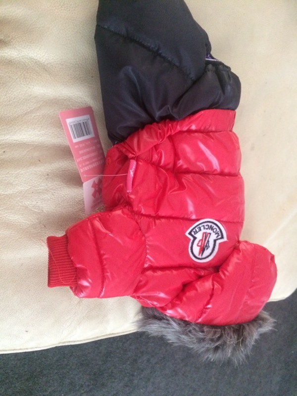 moncler dog moncler dog