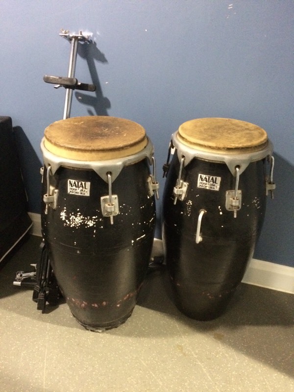 Natal Congas & Stand in Crewe, Cheshire Gumtree