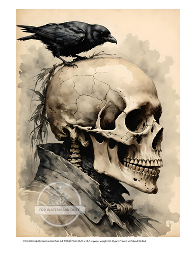 Skeleton with Crow | A4 8.3" x 11.7" | Halloween Rice Paper | Decoupage Central