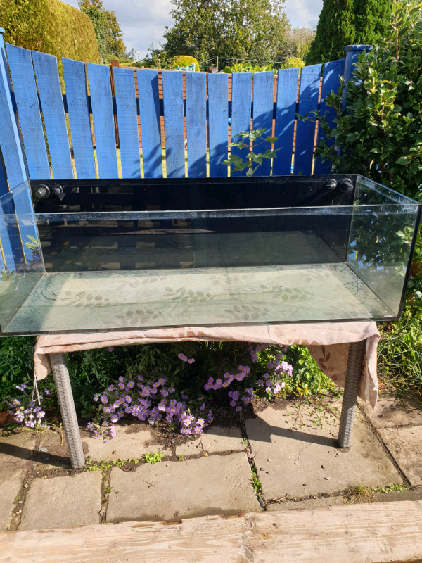 5ft marine aquarium fish tank in Launceston, Cornwall Gumtree