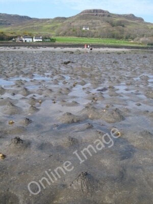 Photo 6x4 Canna harbour at low tide A' Chill Low tide allows you to take  c2011