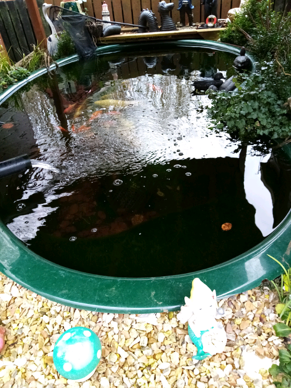 Blagdon Preformed pond in Glenrothes, Fife Gumtree