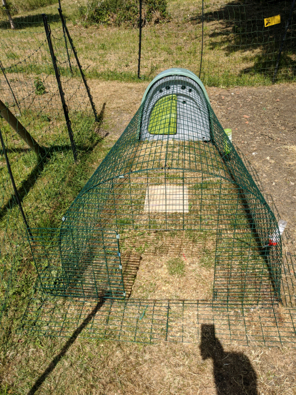 Omlet Eglu Classic Rabbit Hutch with a 2m run GOOD Condition in
