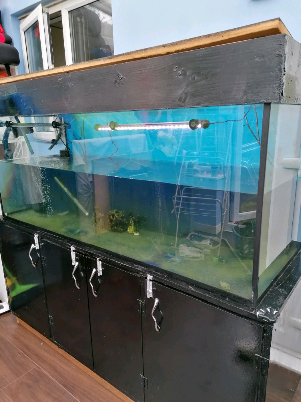 5 foot aquarium fish tank with in Wavertree, Merseyside Gumtree