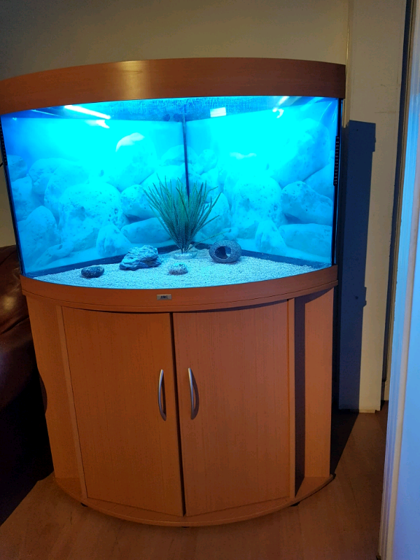 JUWEL CORNER FISH TANK AND STAND FOR SALE in Salford, Manchester